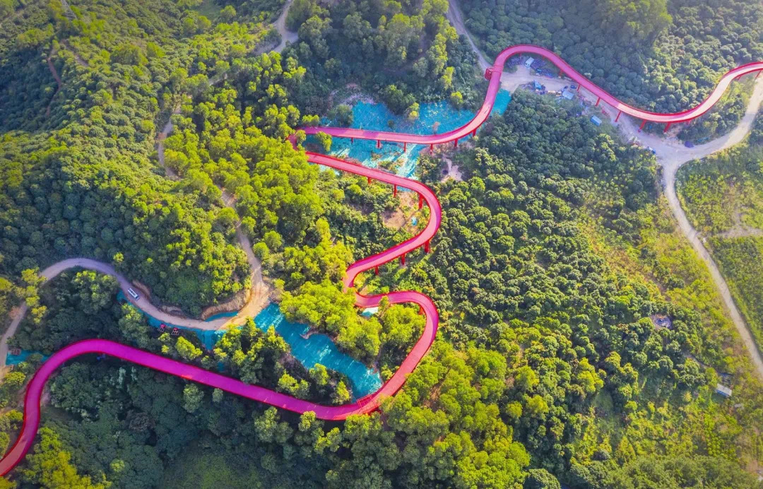 抖音春节全国景点Top6！光明区虹桥公园有哪些吸引点？