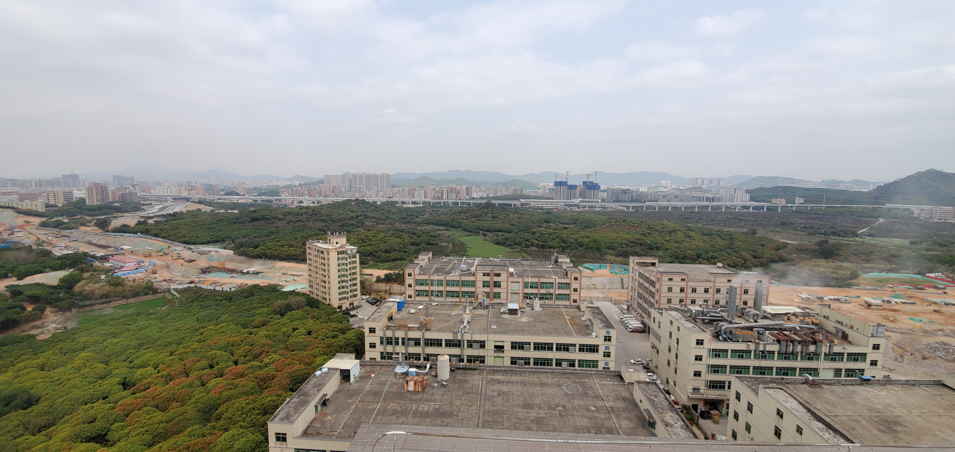 新湖街道调研科学城中心区片区土整工作