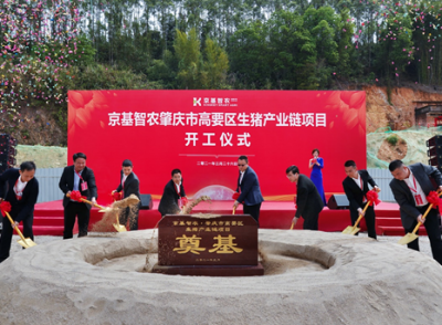 京基智农肇庆市生猪产业链项目启动，将打造现代农业和食品产业示范园区  