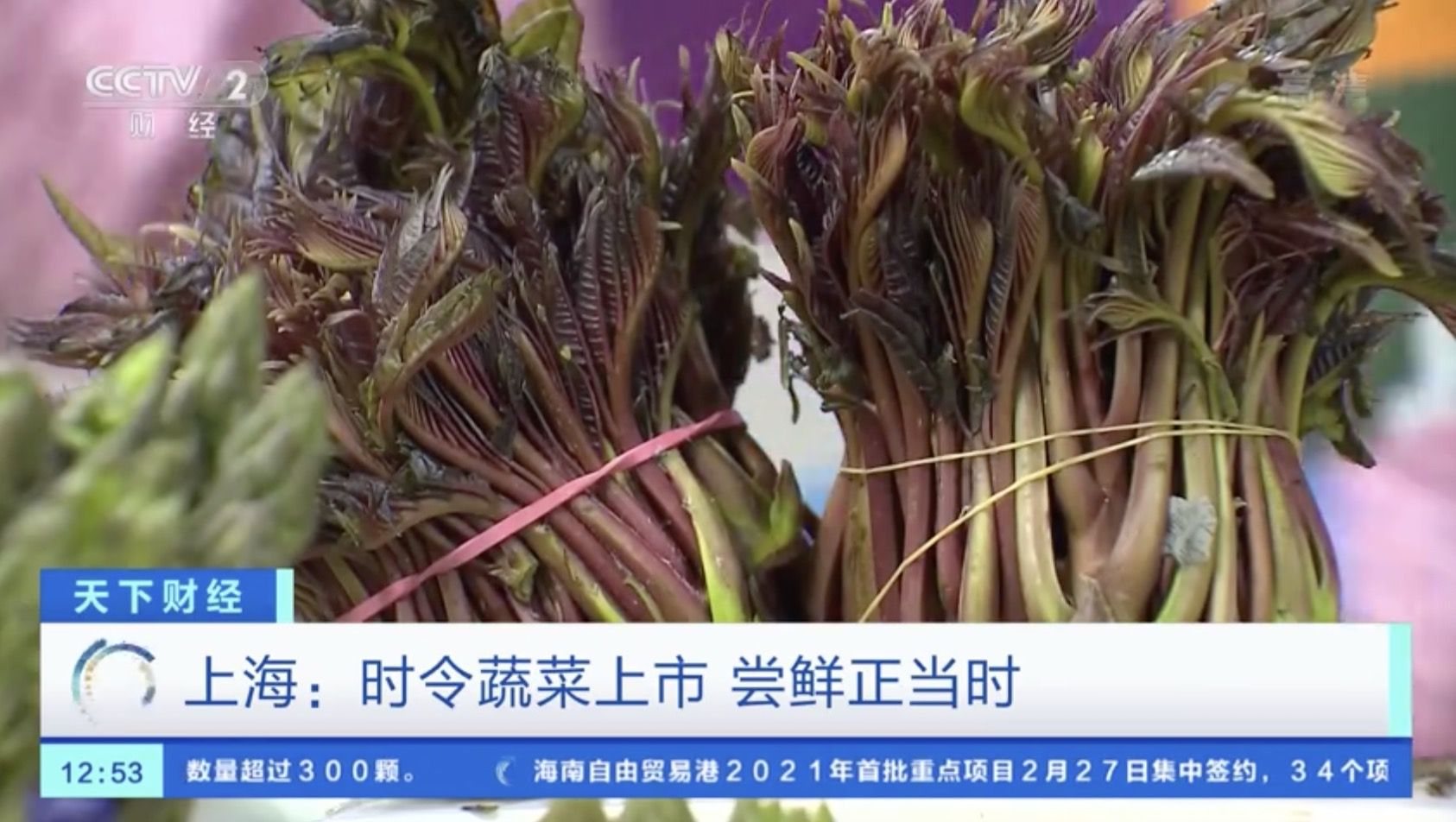 香椿市场太香了，咬春正当时！上海香椿卖到90元一斤