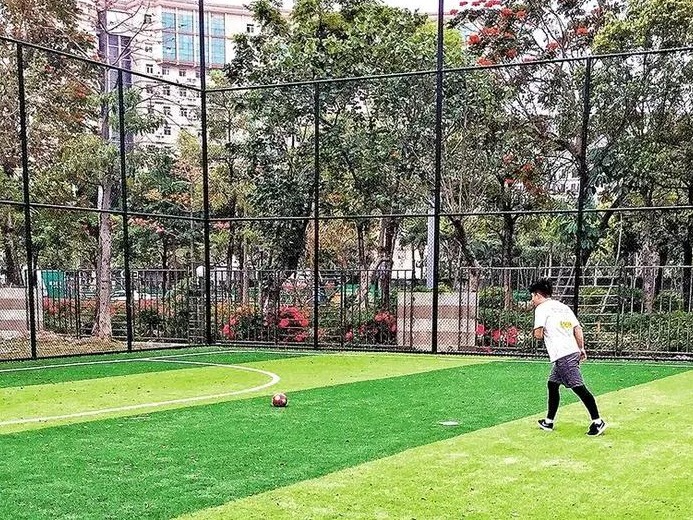西乡多片足球场免费开放