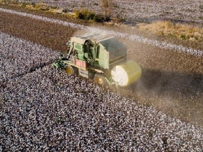 中纺联：坚决反对在供应链中排除新疆棉花及其制品的错误行为