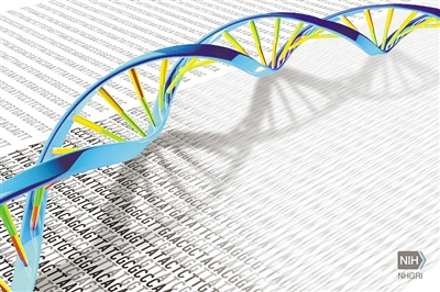 基因组数据揭示25个人种间遗传差异，发现更复杂遗传变异