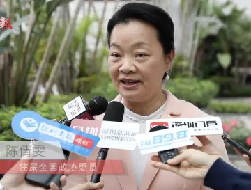 听见委员声音｜全国政协委员陈倩雯：借鉴深圳经验，解决“僵尸企业”问题