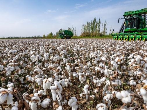 中纺联：停止在供应链中排除新疆棉花及其制品的错误行为