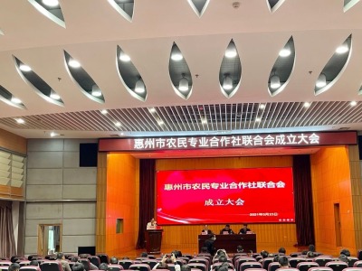 惠州成立农民专业合作社联合会，抱团取暖谋振兴！