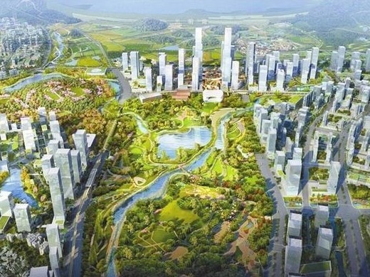 扛起深化改革主体责任 彰显敢闯敢试城市品格