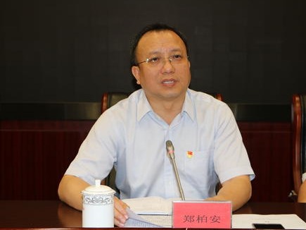 海南省海口市委常委、统战部部长郑柏安接受审查调查