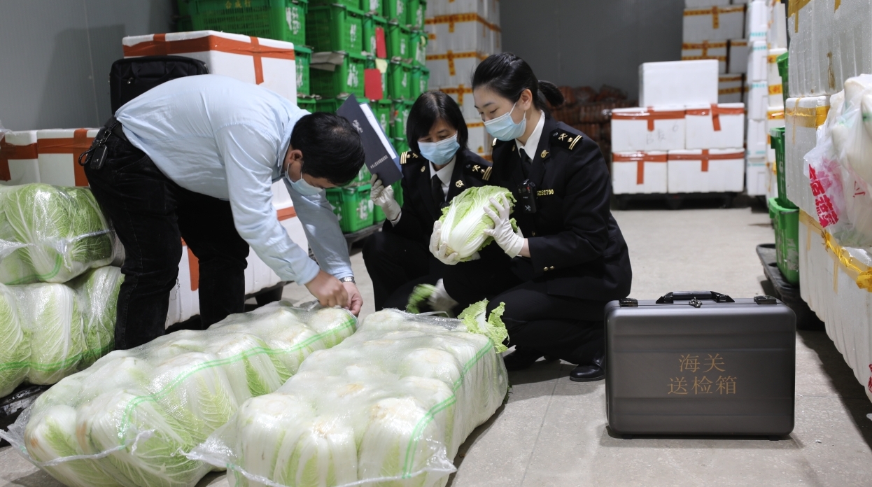 一季度增城海关共受理出口农产品1254批，远洋蔬菜已达去年的60%