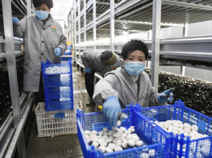 热解读｜总书记作出重要指示 再提后续帮扶的关键