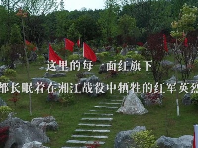 时政微纪录丨赤胆铸忠魂——总书记这样回望湘江战役 