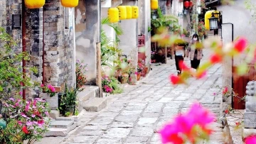 深圳有滋味（双语版） 16 | 沧桑600载，走出了十几位大将军