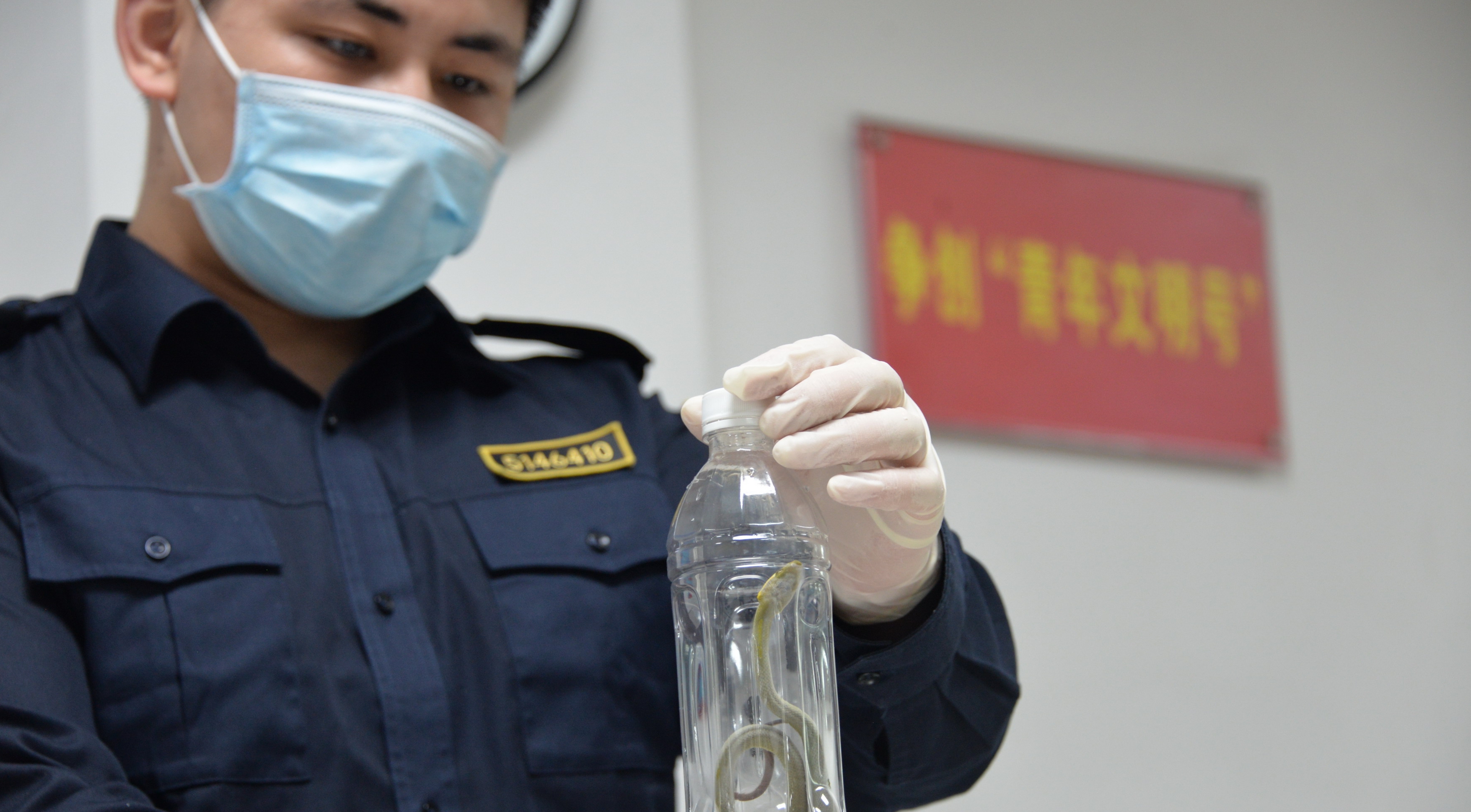 《生物安全法》4月15日施行：维护国家生物安全人人有责