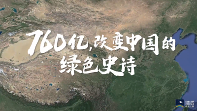 760亿棵树，中国人这样改变世界 