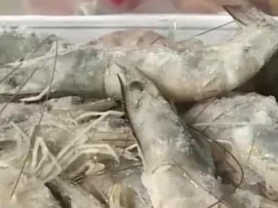 马来西亚一批进口冻白虾内包装检出新冠核酸阳性