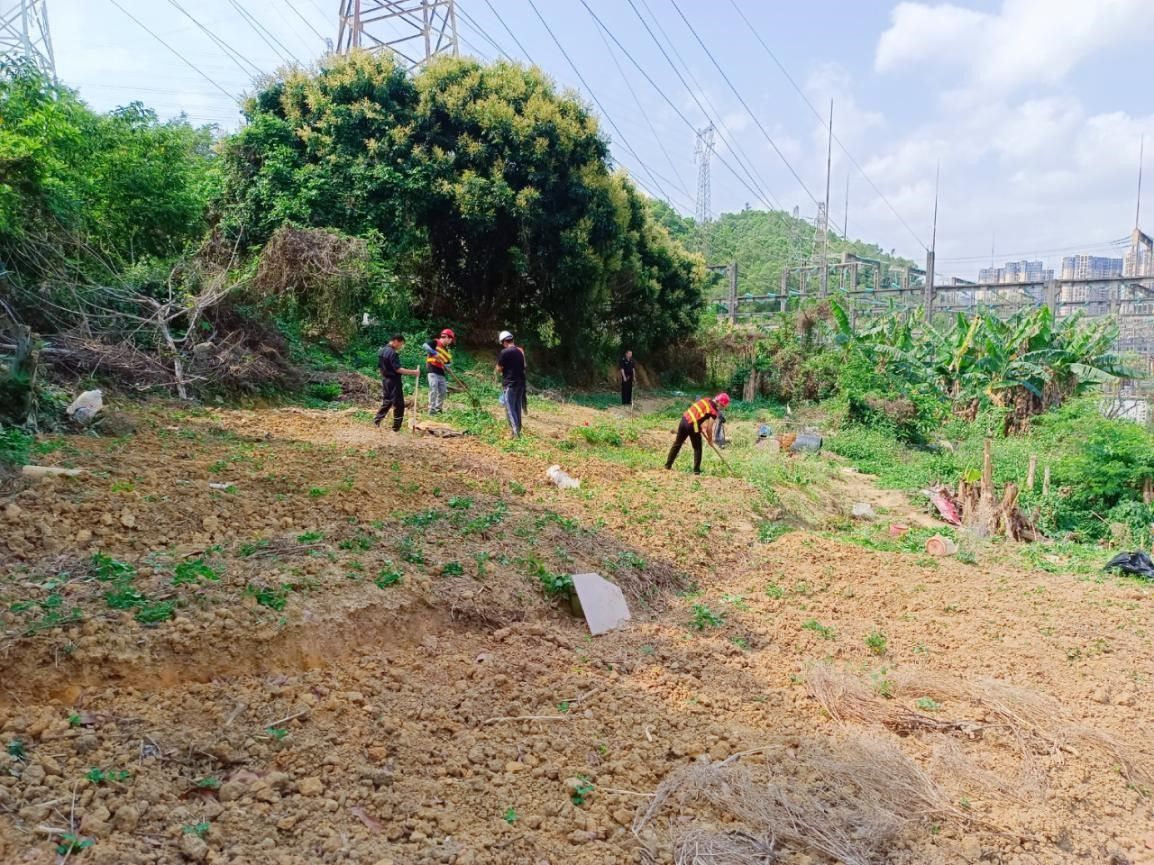 “释放”国有储备土地2000平方米 园山街道强力清理一菜地