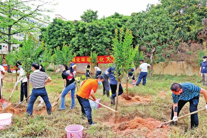 燕罗街道春季义务植树扮靓城市