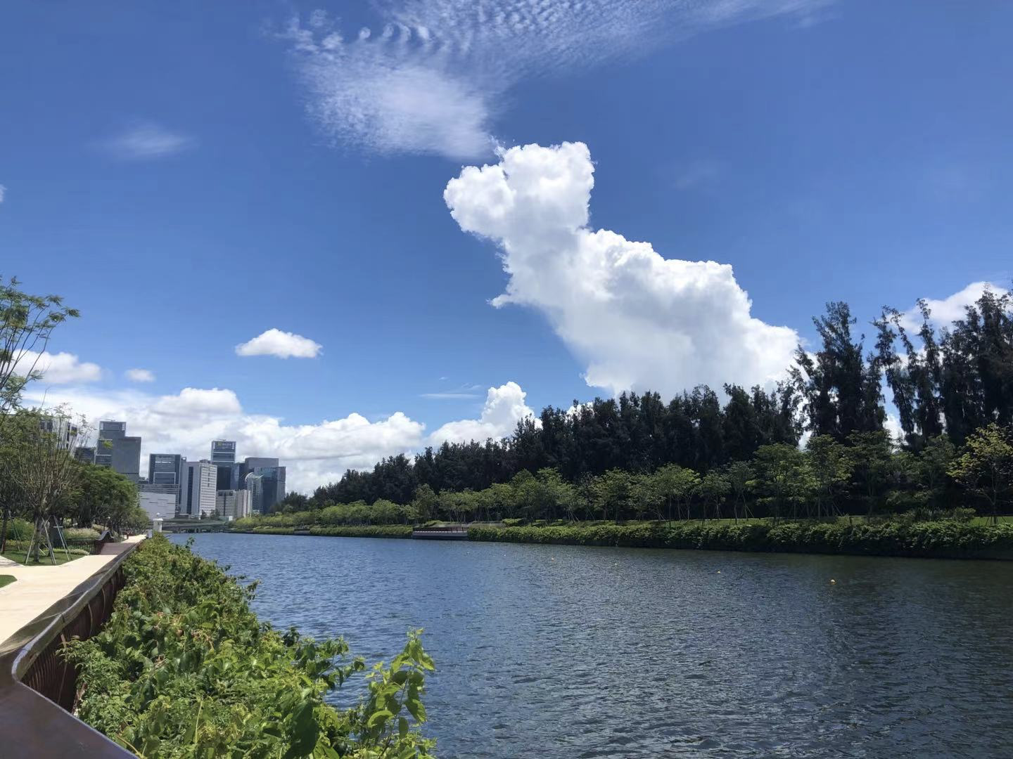 打好七大标志性战役！深圳发布污染防治攻坚战2021年1号令