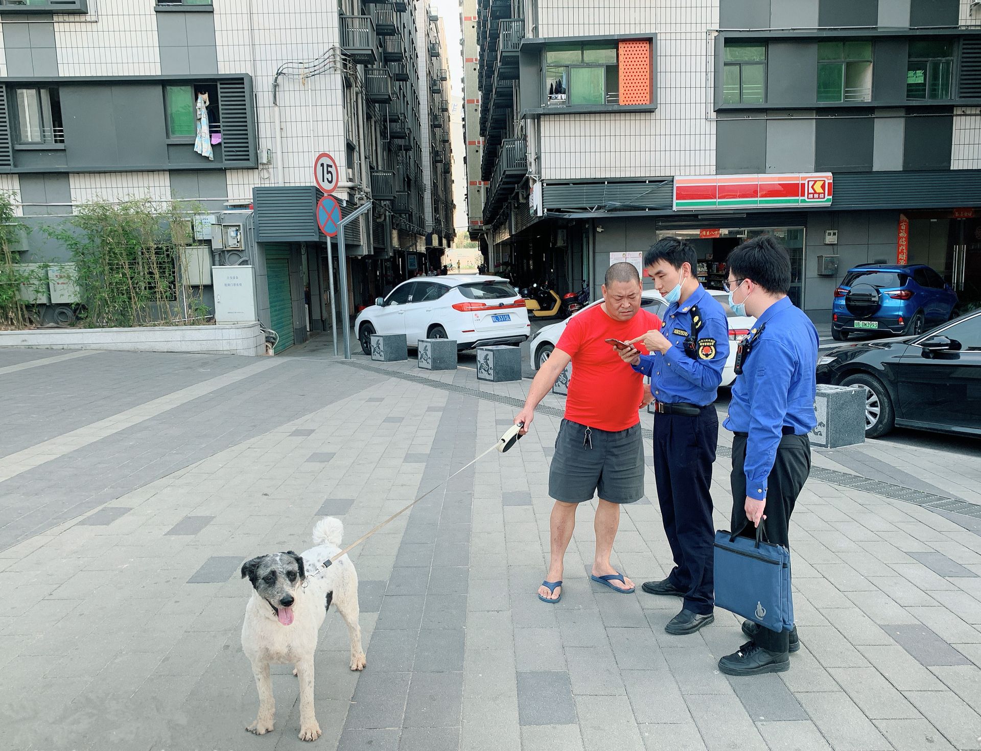 凤凰街道倡导居民文明养犬 让人居环境更美好  
