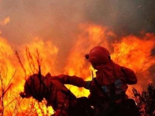 四川凉山木里县发生森林火灾：暂无人员伤亡，起火原因正调查
