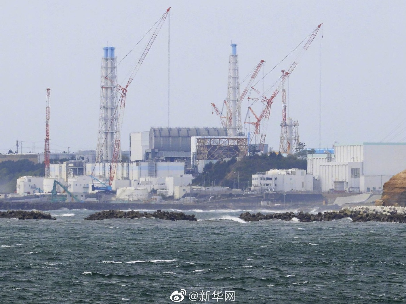 日本福岛海域鱼类放射性物质超标被禁止上市