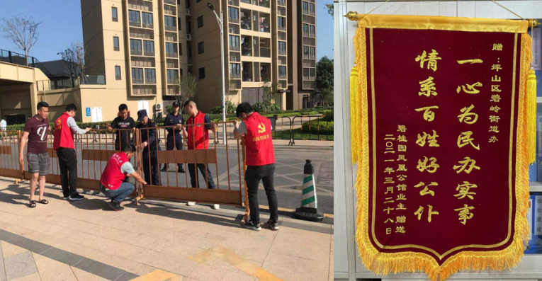碧岭街道党建引领赋能共治，推进花园小区精细化治理