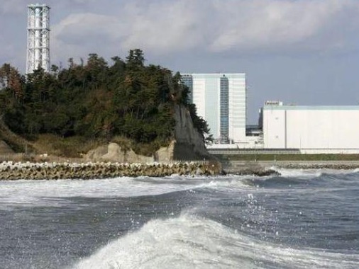 福岛核污水被决定排海，韩研讨对日本海鲜进行原产地追溯监督