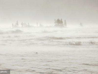 又要来？蒙古国发布沙尘暴天气预警