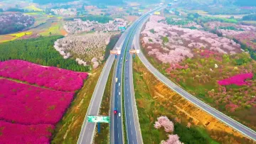 沿着高速看中国(广东) | 创新驱动发展，广州天河科技园基地总收入近3000亿