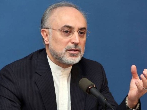 伊朗原子能组织主席：将于国家核技术日展出重要成就