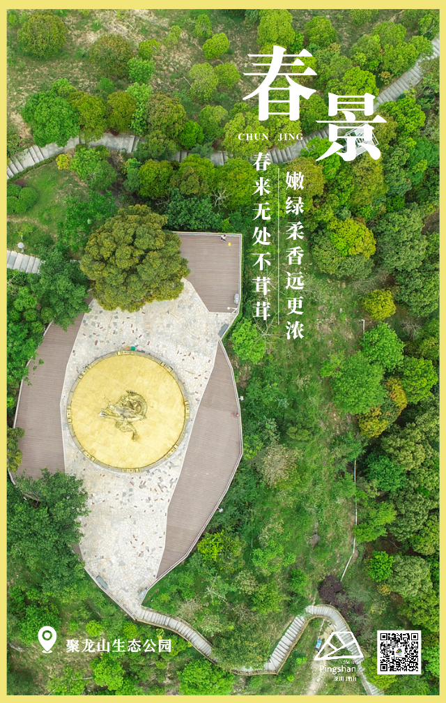 影像坪山丨踏青邂逅诗意春天