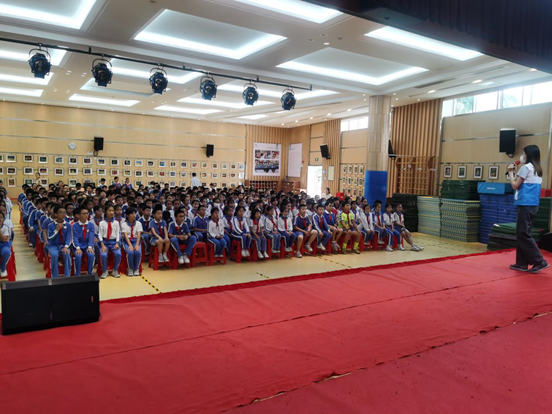 无毒青春 你我同行 新湖街道楼村小学300余名学生争当禁毒小卫士  
