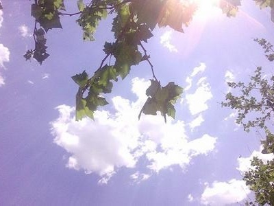 深圳本轮秋冬春气象干旱已持续122天，这个区发布干旱预警