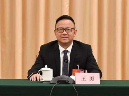 王勇任西藏自治区人民政府副主席