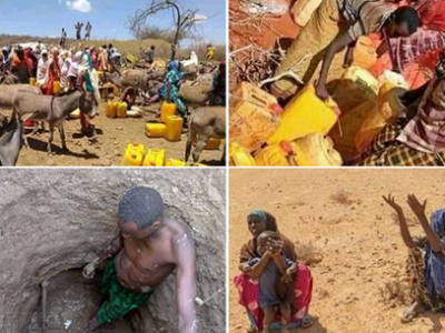 埃塞俄比亚索马里州旱情严峻 超200万人亟需援助