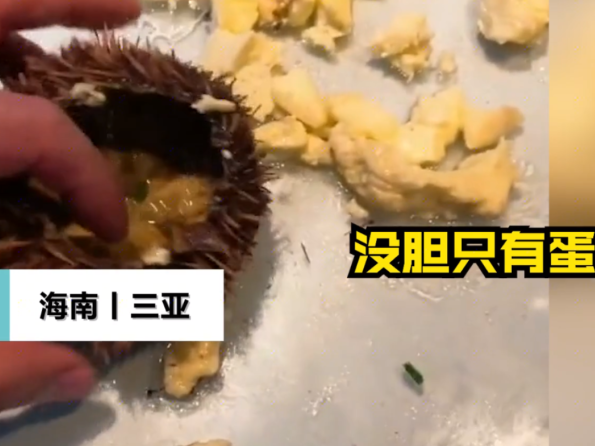 海南省长回应三亚海胆事件：将深入调查，及时回应社会关切