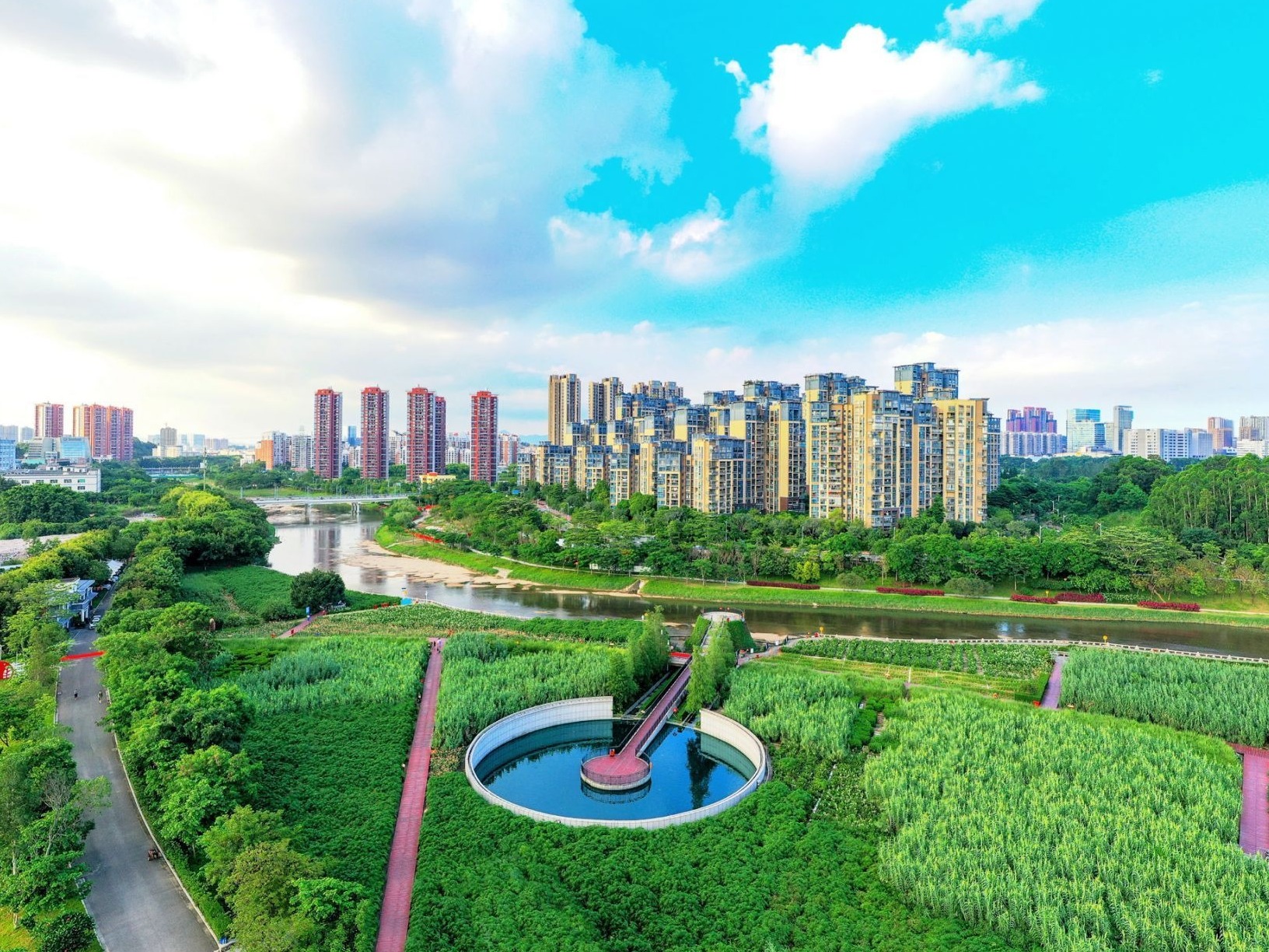 深圳市政协2021年首场“委员议事厅”开播，共绘观澜河最美发展蓝图