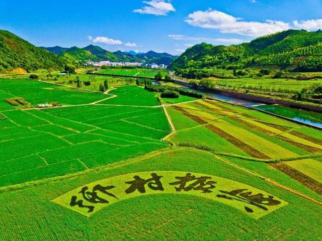乡村振兴促进法通过