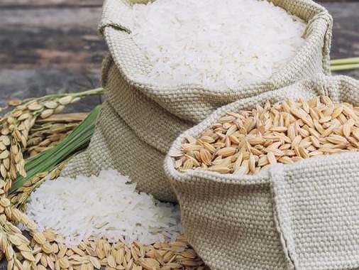 联合国粮农组织：全球粮价持续上涨，创近七年新高 
