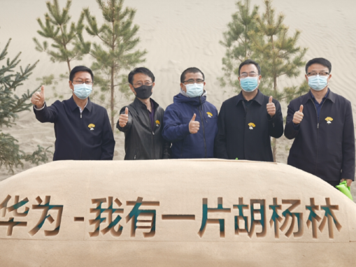 华为甘肃公益项目：携手消费者种植6万余株胡杨树扎根沙漠