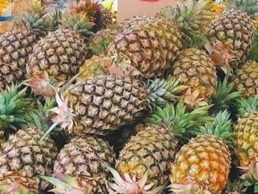 台湾外销菠萝屡传黑心，民进党当局称或是新客户储存不当