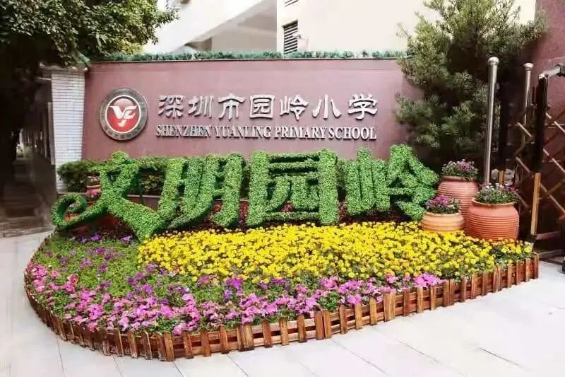 文明之花开遍福田校园，为城市文明增添一抹亮色！