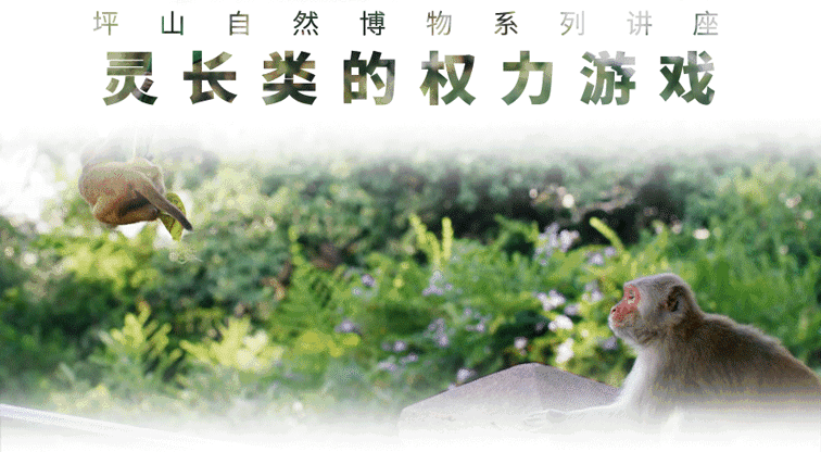 坪山自然博物系列讲座⑩ | 赵序茅：灵长类的权力游戏·实录