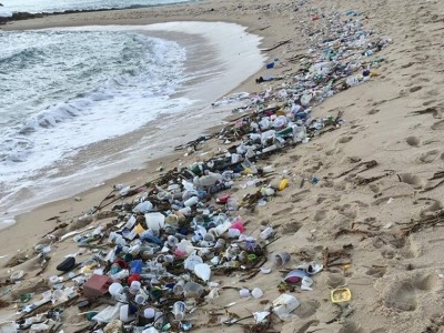 1.5吨垃圾涌现巴西东北部海滩 包括针管等医疗垃圾