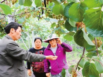 大局深圳：山一程水一程身向扶贫那畔行故园景色新