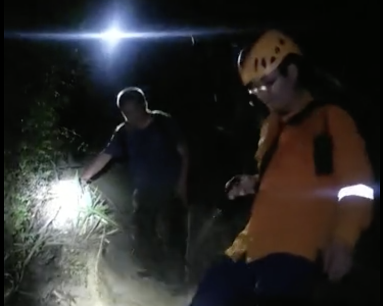 极速真探｜驴友登山走野路被困山脊线密林，森林消防深夜紧急搜救
