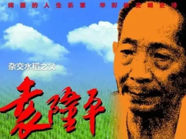 湖南卫视停综艺放电影《袁隆平》 创近期收视新高