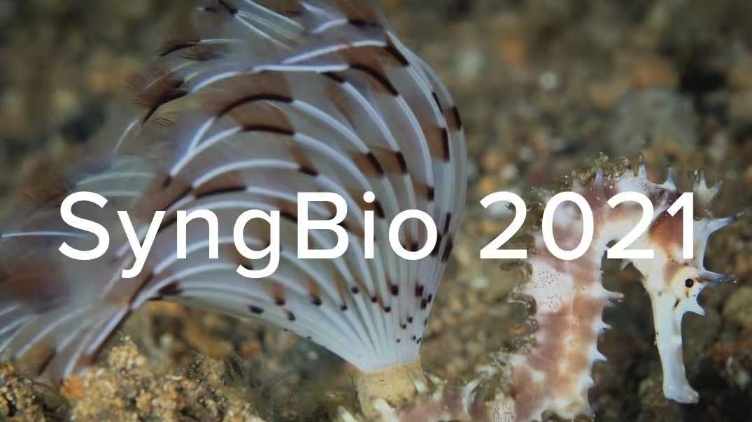 世界海龙科生物学大会，为何选择中国广州？