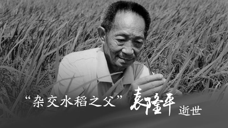 默哀！袁隆平院士逝世