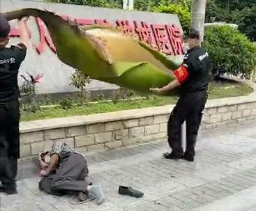 广东一男子被树叶砸晕？小心这些“从天而降”的植物